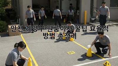 인천 계양구 원룸이사 꿀팁🍯: 효율적 방법 총정리!