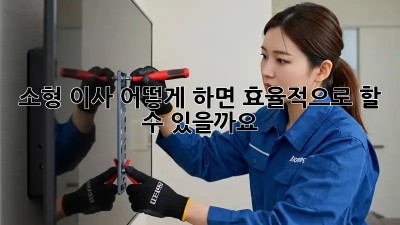 소형 이사, 어떻게 하면 효율적으로 할 수 있을까요?
