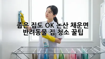 좁은 집도 OK! 논산 채운면 반려동물 집 청소 꿀팁